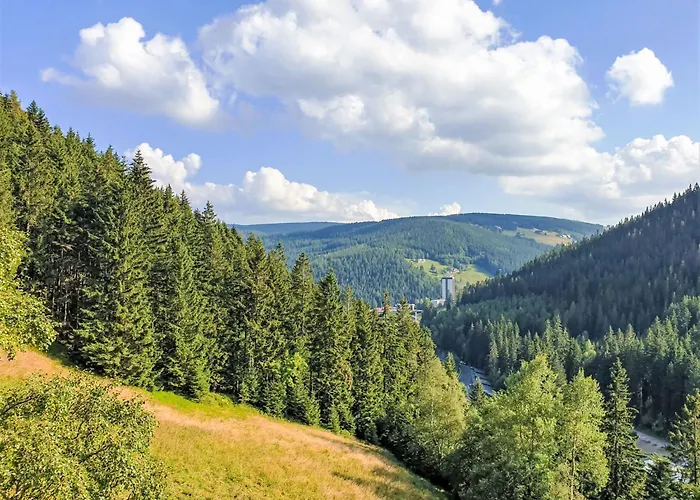 Domek alpejski U Dvou Vleku By Interhome